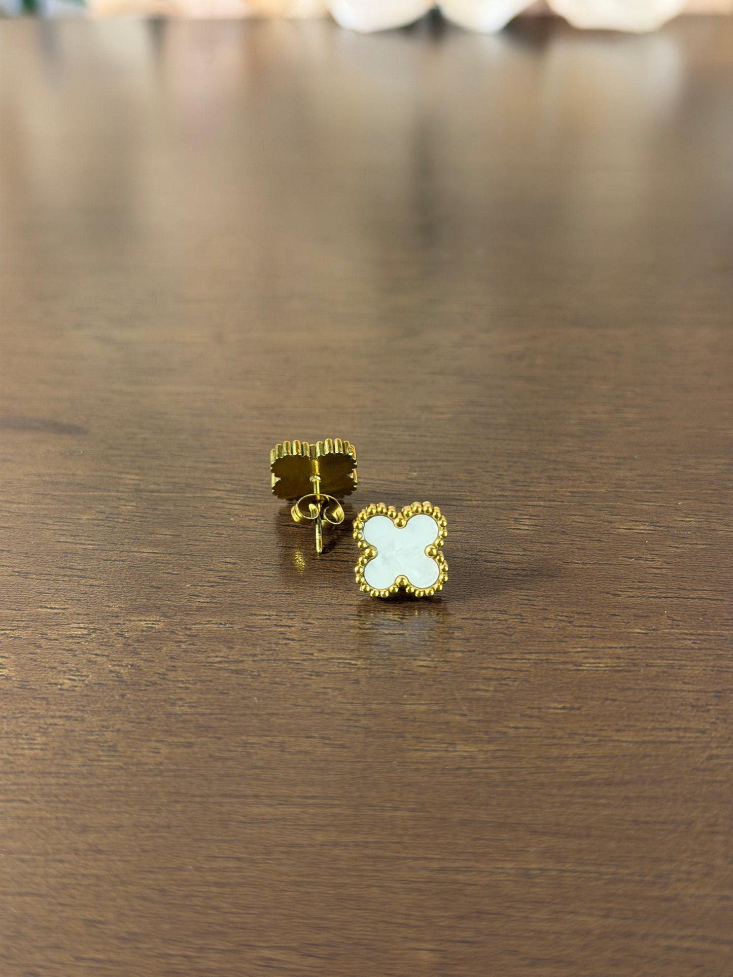 Aretes AAVCCBCO0445