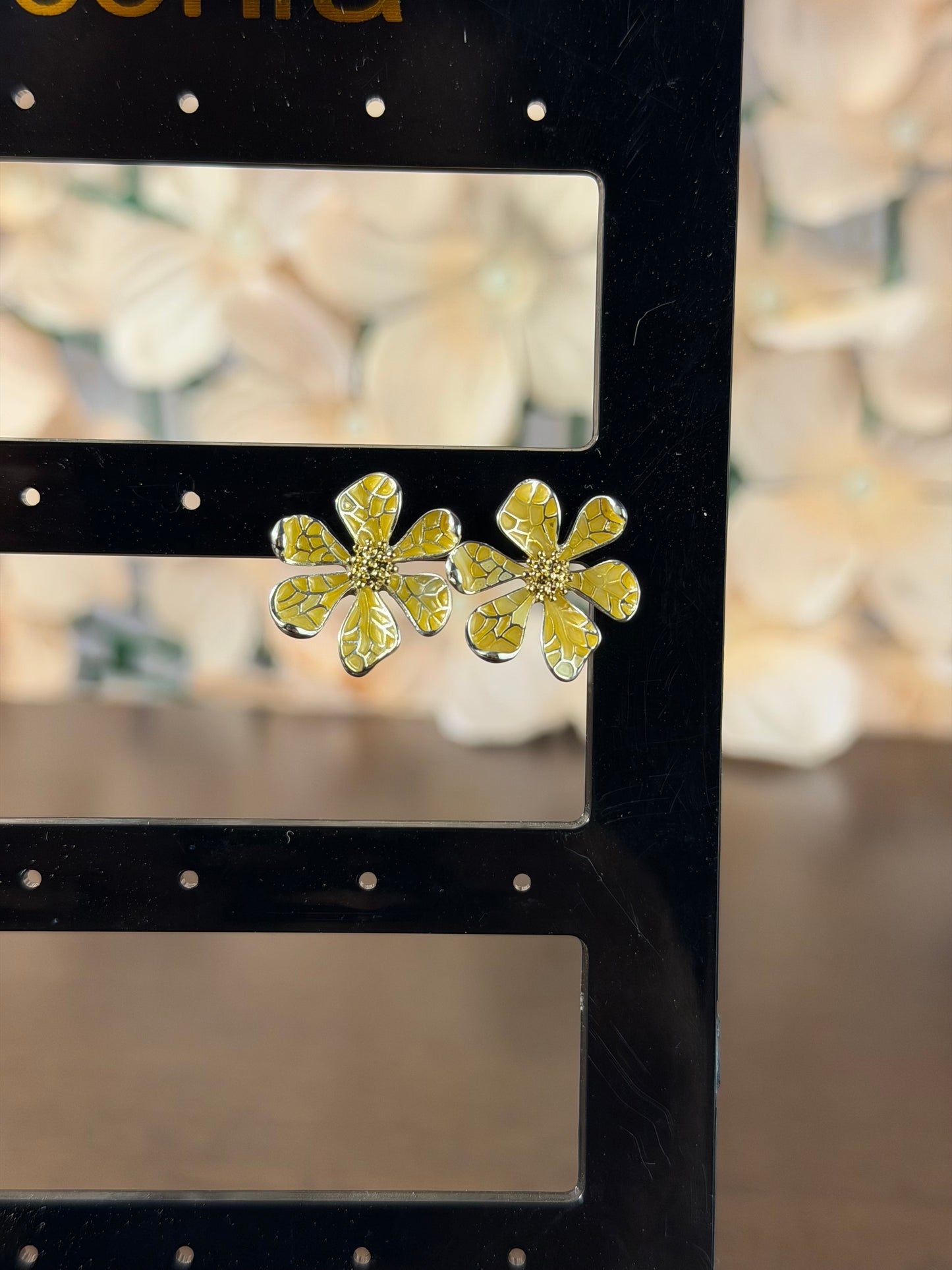 ARETES AAALHVAR0565