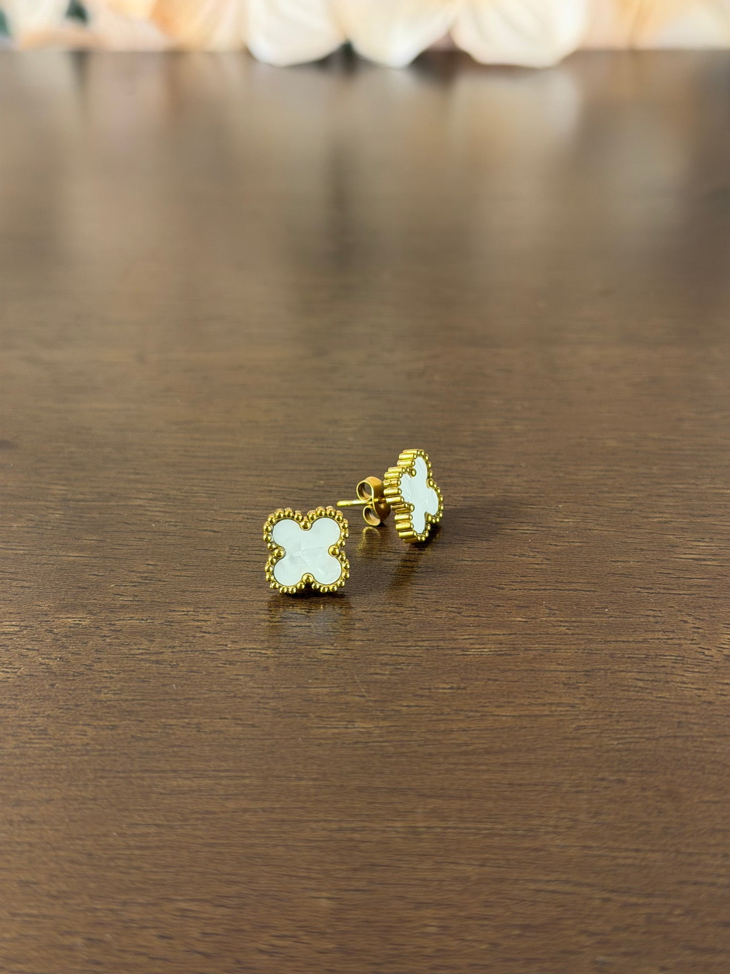 Aretes AAVCCBCO0445