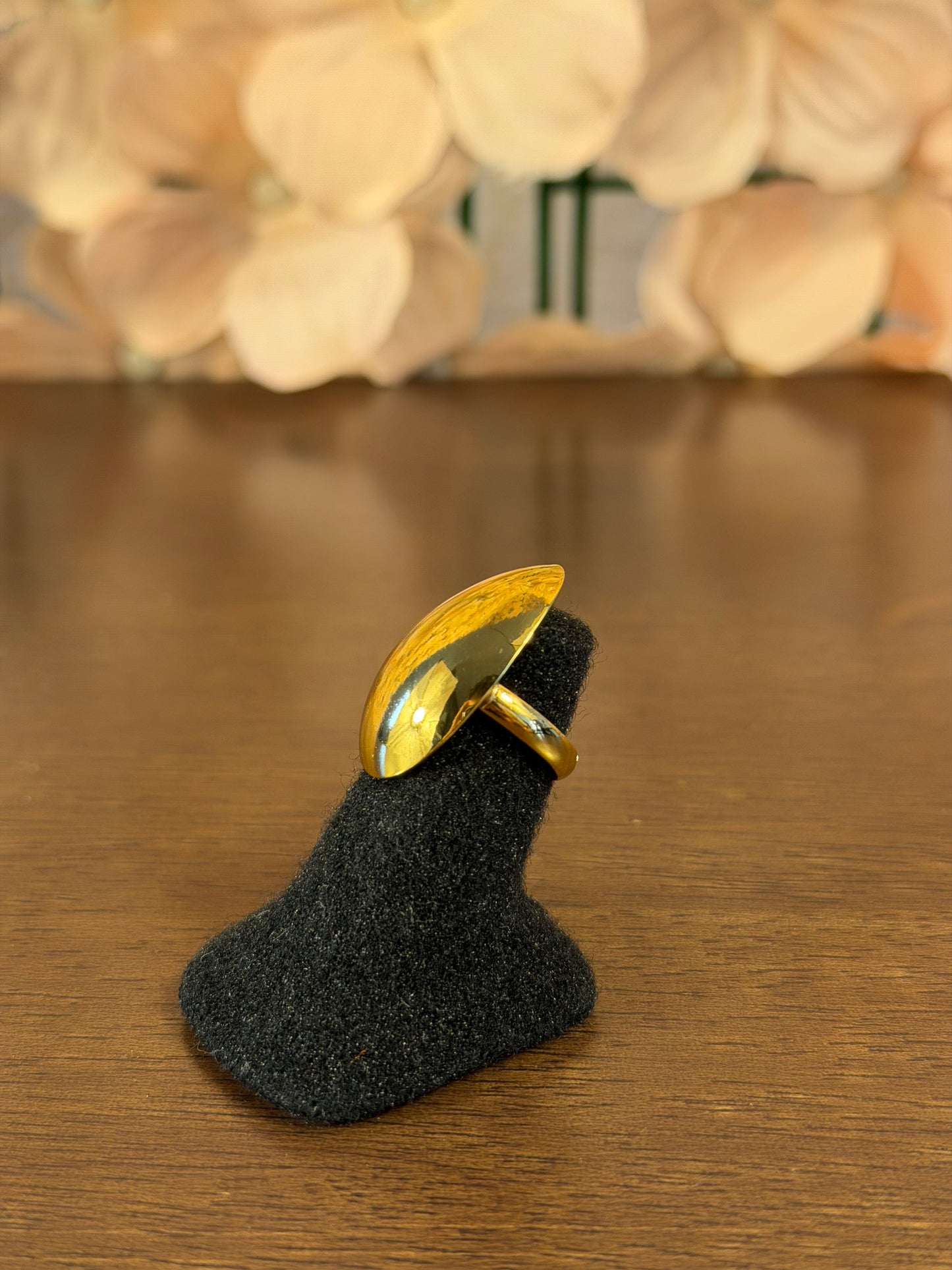 ANILLO ANI001