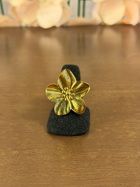 ANILLO ANI003