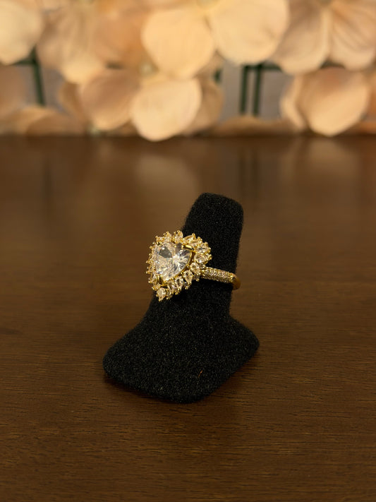 ANILLO ANI010